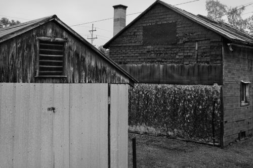 CRW_3237