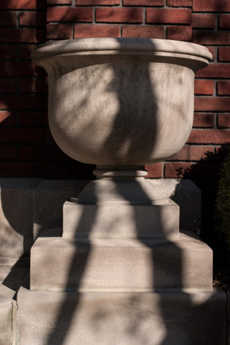 CRW_6941
