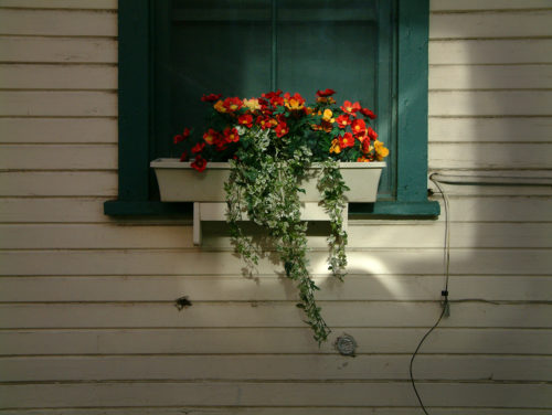 DSCF0010-flowers.jpg